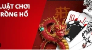 Bí Mật Thắng Lớn Dragon Tiger Tại King88 Dành Cho Người Mới Chơi